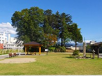 大きな木と緑の芝生が広った奥には、休憩スペースのある西條天満公園の写真