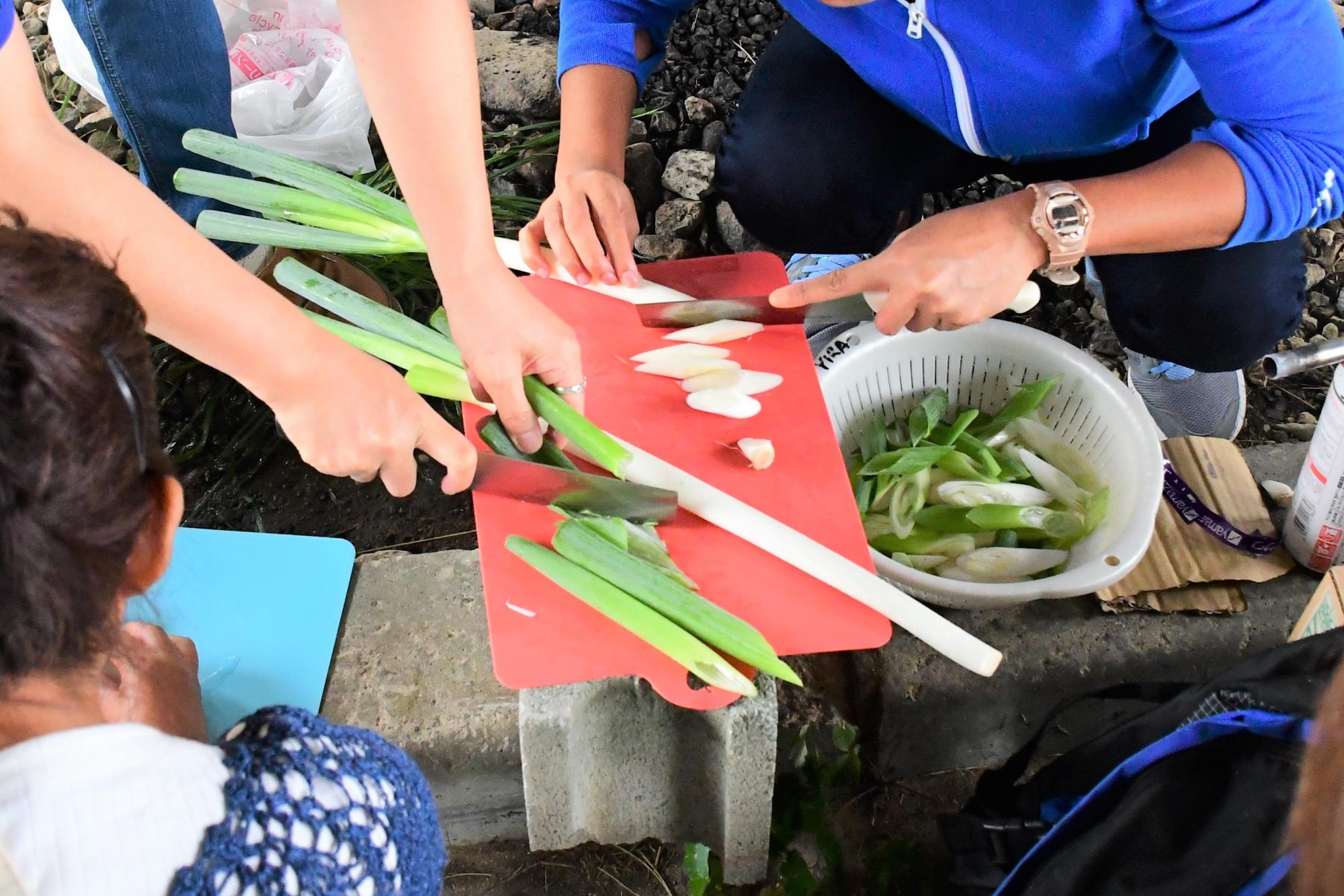 ねぎを切っている写真