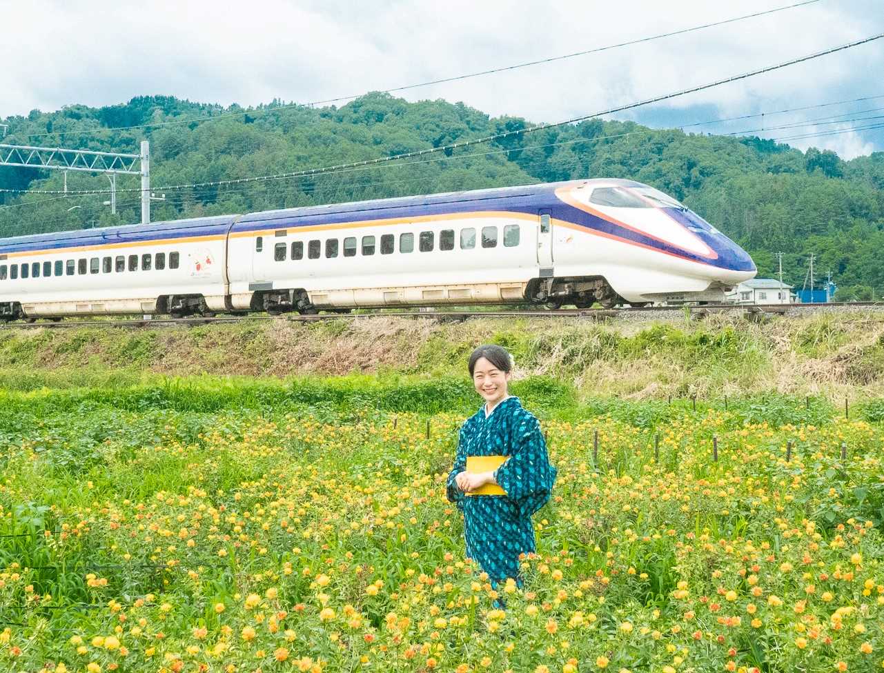 紅花畑で新幹線を背景にした女性の写真