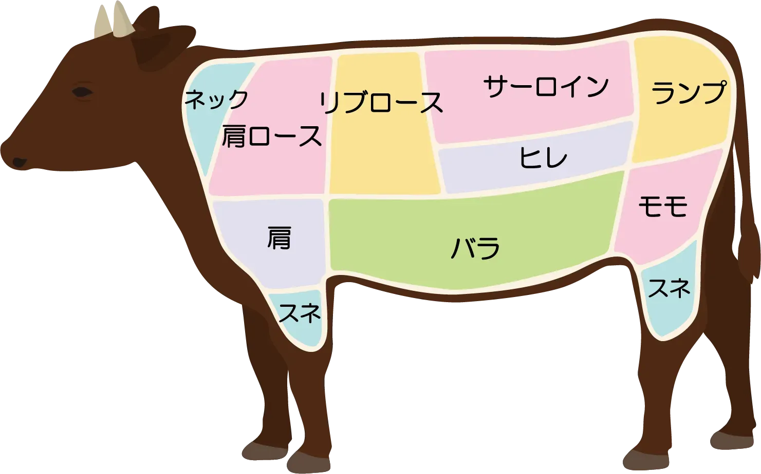 牛肉部位イラスト