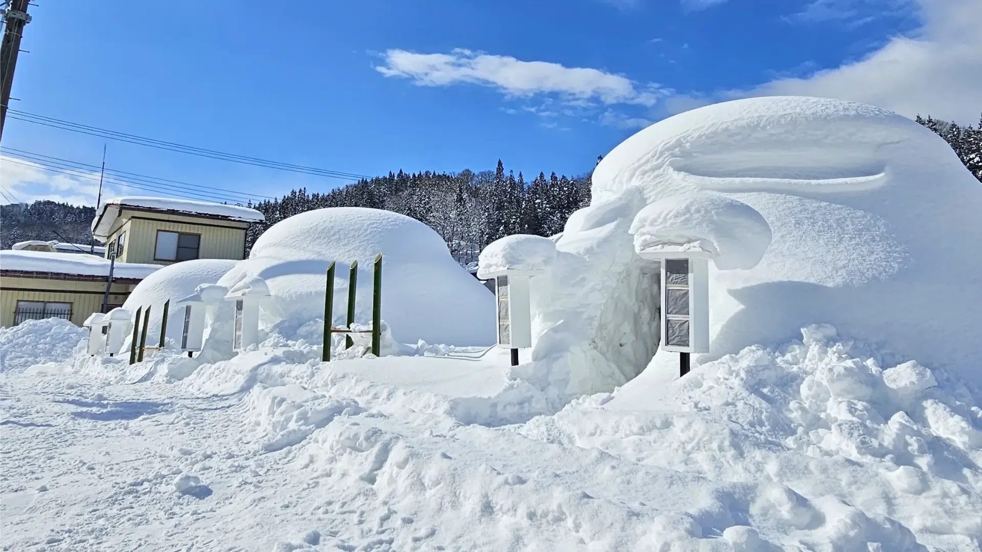 小野川温泉かまくら村の雪景色とかまくら（昼）