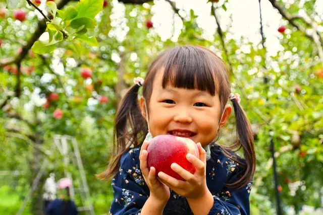 りんごを持っている女の子の画像