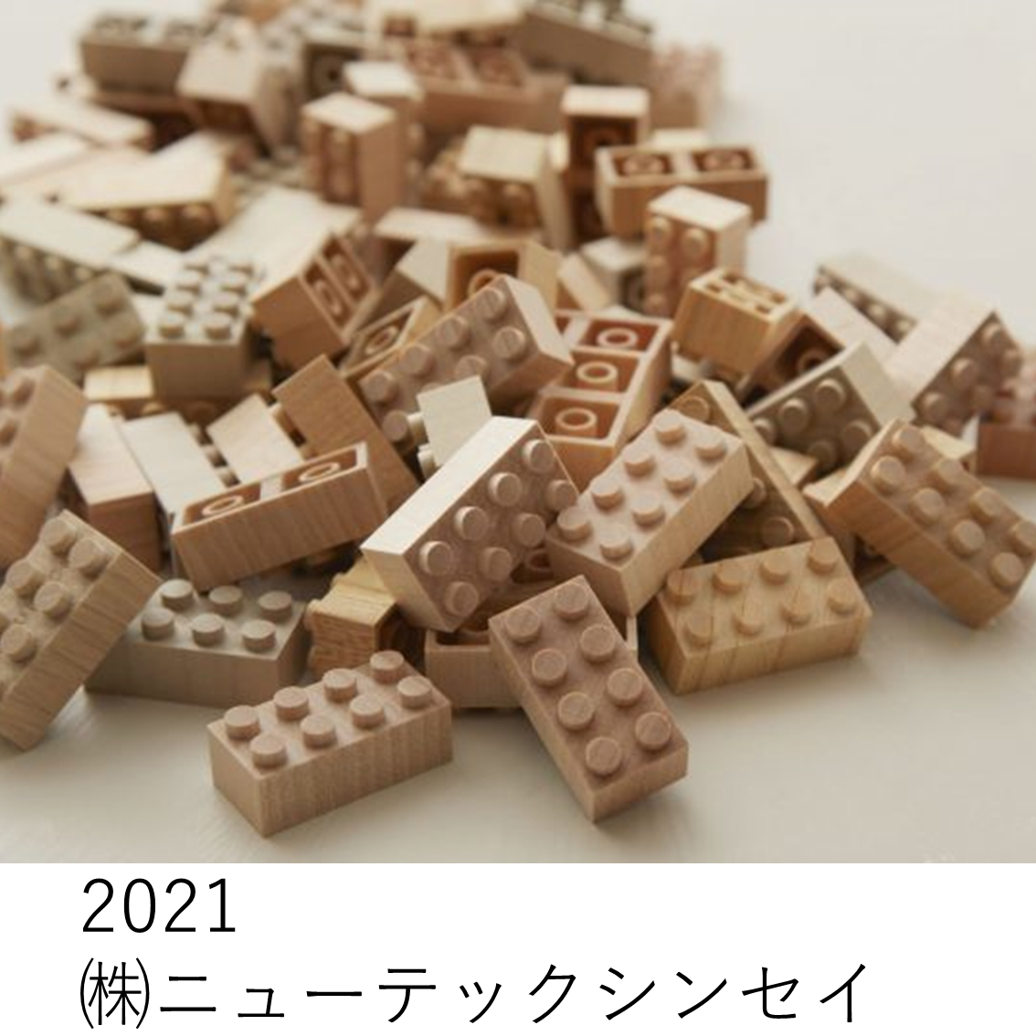 2021株式会社ニューテックシンセイ