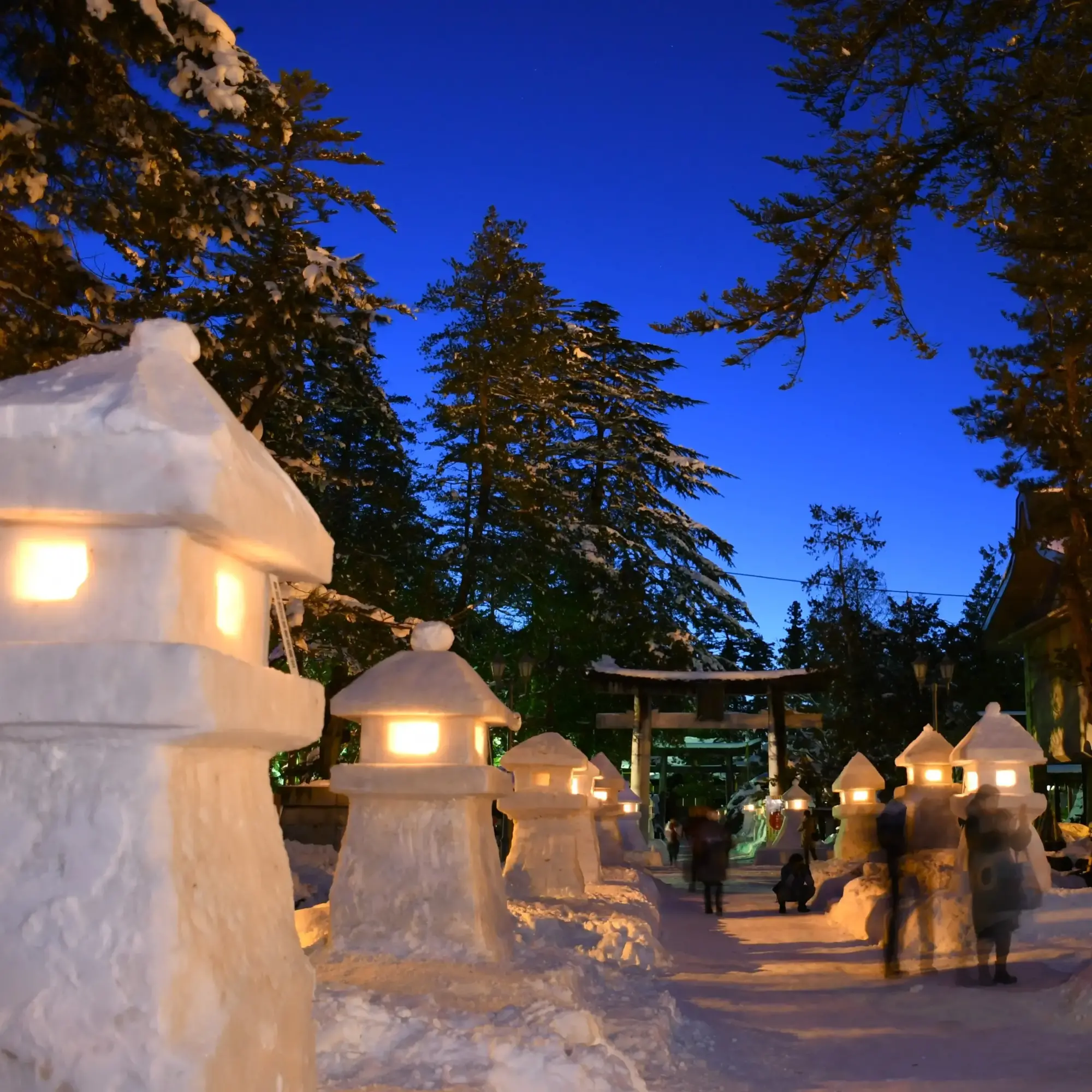 雪国観光の夜：雪灯篭まつりの灯りと幻想的な景色