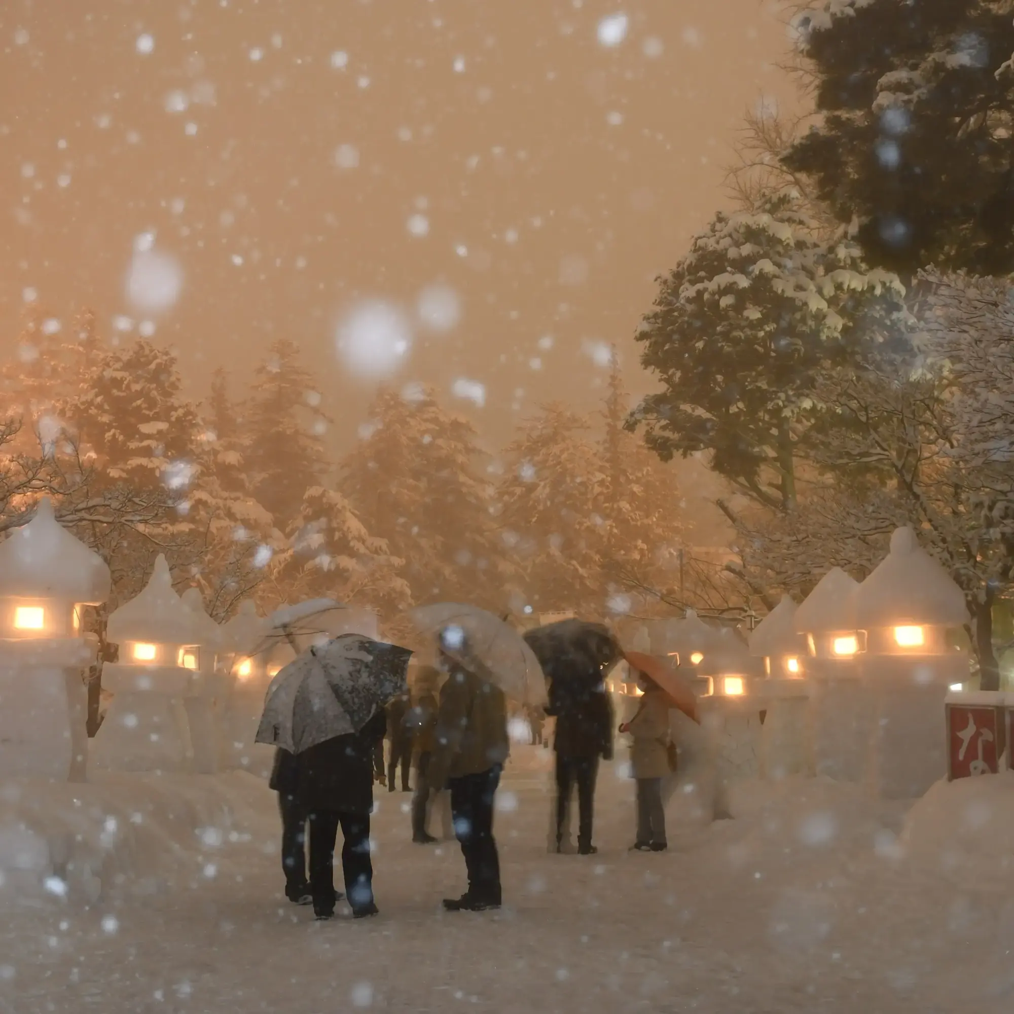 雪灯篭まつりの幻想的な夜景