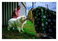 自由634未知との遭遇