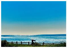 自由858晩夏